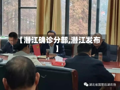 【潜江确诊分部,潜江发布】