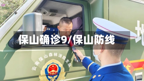 保山确诊9/保山防线