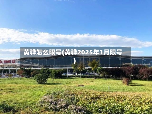 黄骅怎么限号(黄骅2025年1月限号)