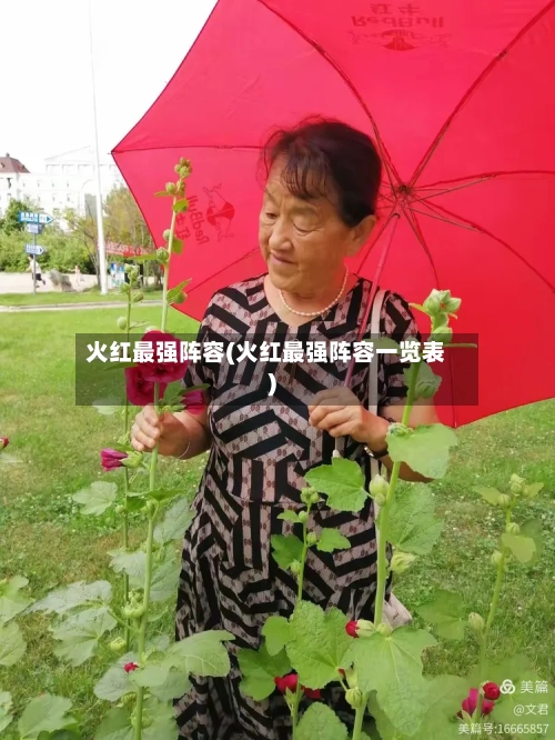 火红最强阵容(火红最强阵容一览表)