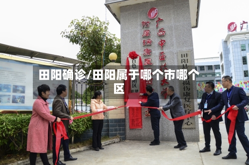 田阳确诊/田阳属于哪个市哪个区-第1张图片