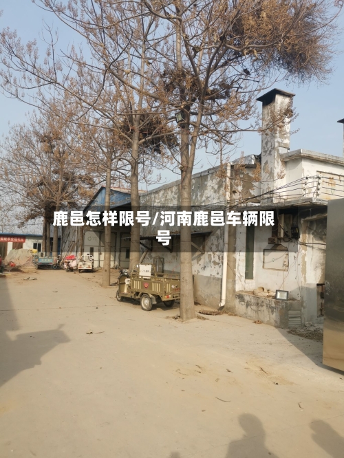 鹿邑怎样限号/河南鹿邑车辆限号