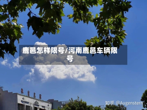 鹿邑怎样限号/河南鹿邑车辆限号-第2张图片