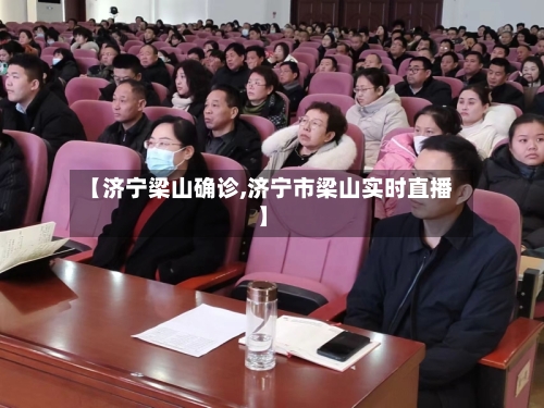 【济宁梁山确诊,济宁市梁山实时直播】-第2张图片