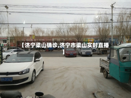 【济宁梁山确诊,济宁市梁山实时直播】