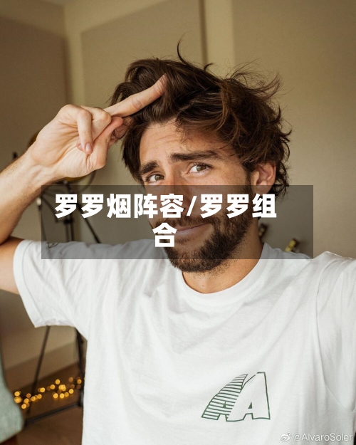 罗罗烟阵容/罗罗组合-第2张图片