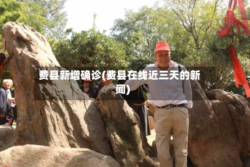 费县新增确诊(费县在线近三天的新闻)