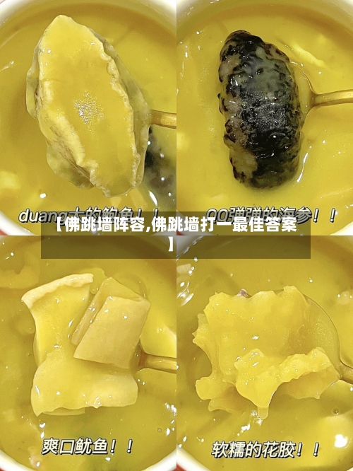 【佛跳墙阵容,佛跳墙打一最佳答案】