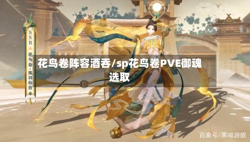 花鸟卷阵容酒吞/sp花鸟卷PVE御魂选取