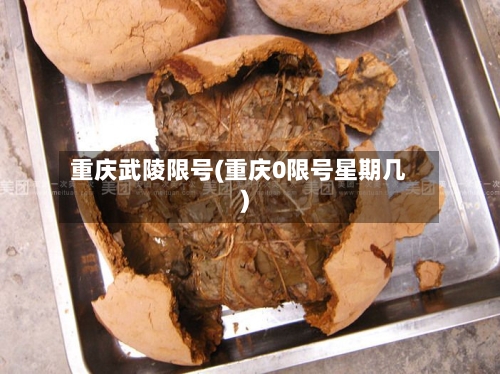 重庆武陵限号(重庆0限号星期几)