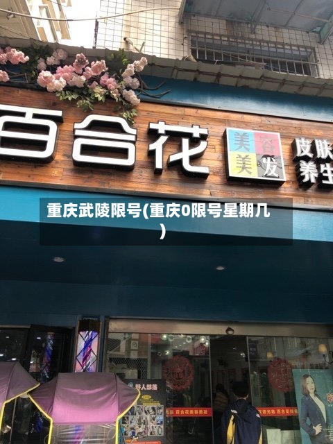 重庆武陵限号(重庆0限号星期几)-第2张图片