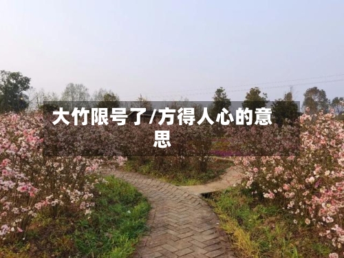 大竹限号了/方得人心的意思-第2张图片