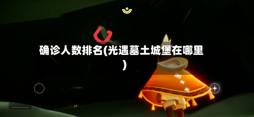 确诊人数排名(光遇墓土城堡在哪里)