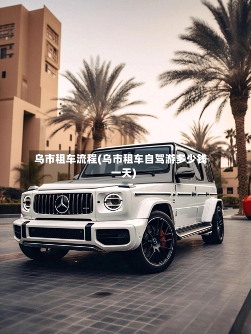 乌市租车流程(乌市租车自驾游多少钱一天)