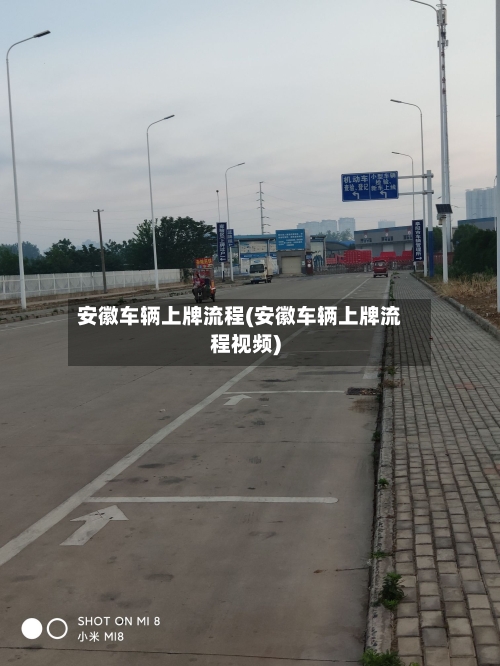 安徽车辆上牌流程(安徽车辆上牌流程视频)