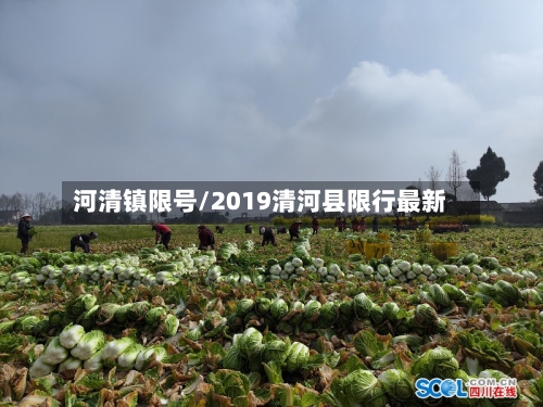河清镇限号/2019清河县限行最新