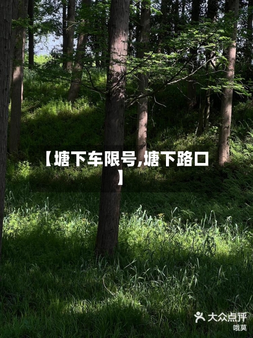 【塘下车限号,塘下路口】