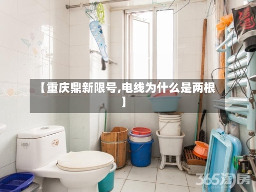 【重庆鼎新限号,电线为什么是两根】
