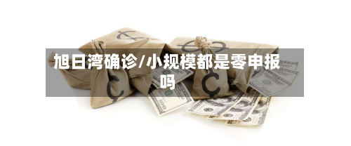 旭日湾确诊/小规模都是零申报吗-第2张图片