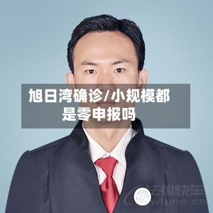 旭日湾确诊/小规模都是零申报吗