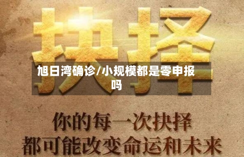 旭日湾确诊/小规模都是零申报吗-第3张图片