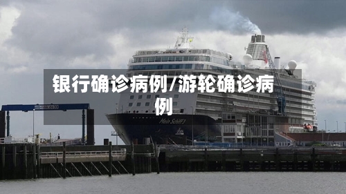 银行确诊病例/游轮确诊病例-第2张图片