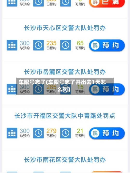 车限号忘了(车限号忘了开出去1天怎么罚)-第3张图片