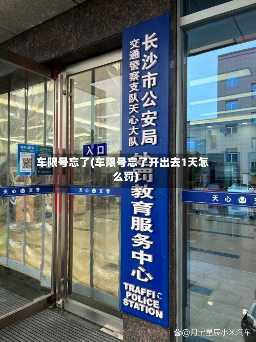 车限号忘了(车限号忘了开出去1天怎么罚)-第2张图片