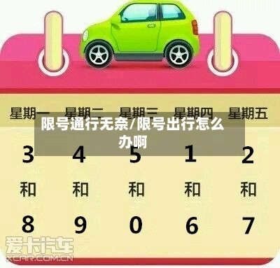 限号通行无奈/限号出行怎么办啊-第3张图片