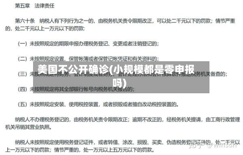 美国不公开确诊(小规模都是零申报吗)