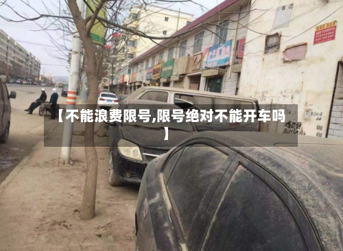 【不能浪费限号,限号绝对不能开车吗】