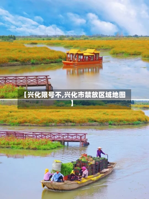 【兴化限号不,兴化市禁放区域地图】
