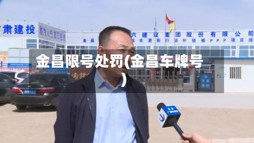 金昌限号处罚(金昌车牌号)