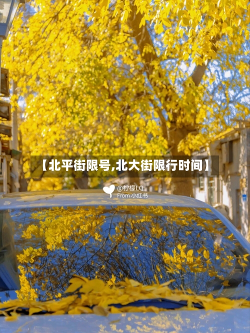 【北平街限号,北大街限行时间】