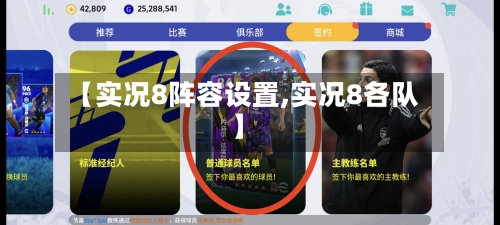 【实况8阵容设置,实况8各队】