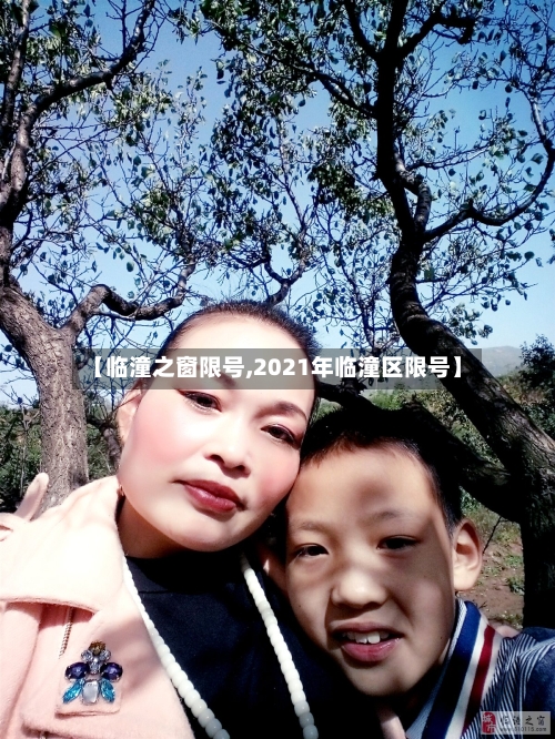 【临潼之窗限号,2021年临潼区限号】-第3张图片