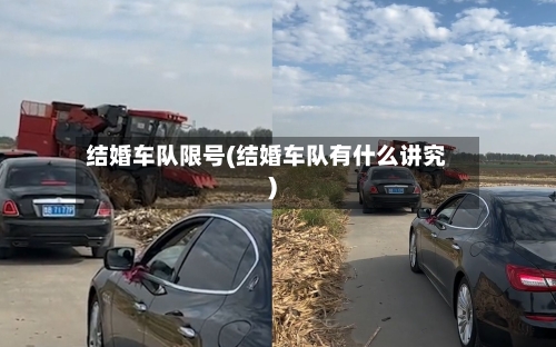 结婚车队限号(结婚车队有什么讲究)-第2张图片