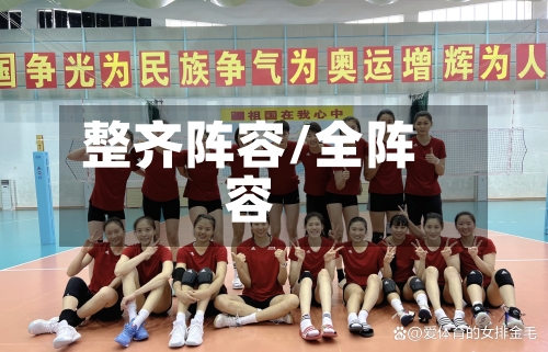 整齐阵容/全阵容-第2张图片