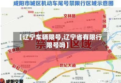 【辽宁车辆限号,辽宁省有限行限号吗】-第3张图片