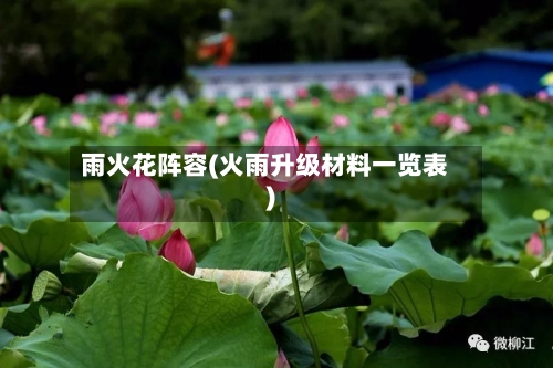 雨火花阵容(火雨升级材料一览表)