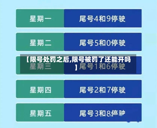 【限号处罚之后,限号被罚了还能开吗】