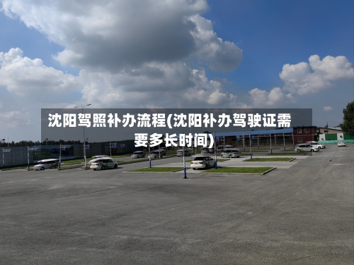 沈阳驾照补办流程(沈阳补办驾驶证需要多长时间)-第2张图片