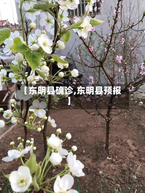 【东明县确诊,东明县预报】-第3张图片
