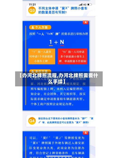【办河北牌照流程,办河北牌照需要什么手续】