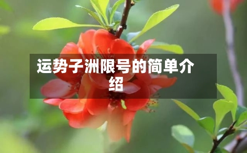 运势子洲限号的简单介绍-第3张图片