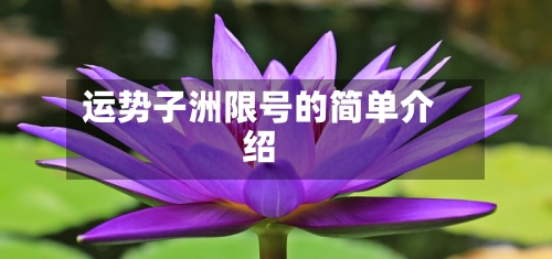 运势子洲限号的简单介绍