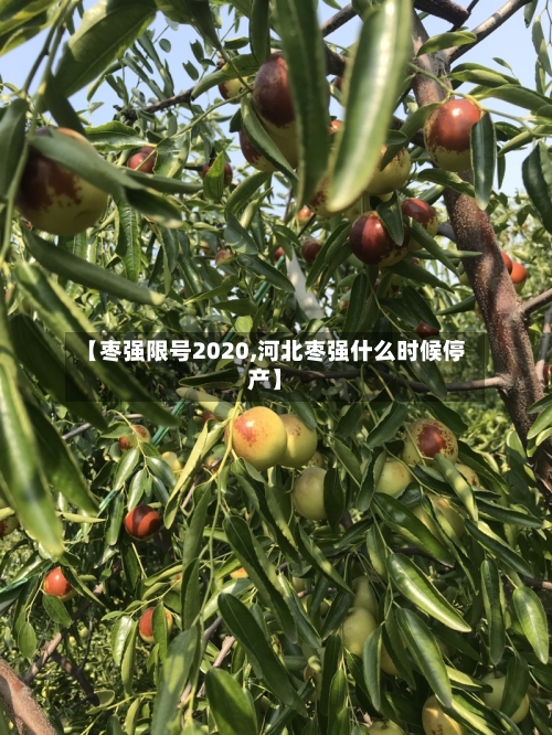 【枣强限号2020,河北枣强什么时候停产】