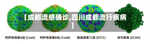 【成都流感确诊,四川成都流行疾病】
