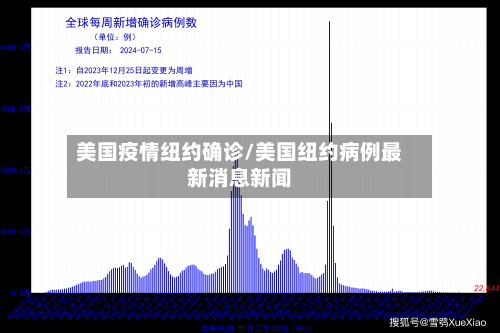 美国疫情纽约确诊/美国纽约病例最新消息新闻