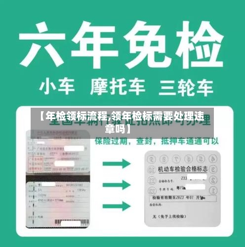 【年检领标流程,领年检标需要处理违章吗】-第2张图片